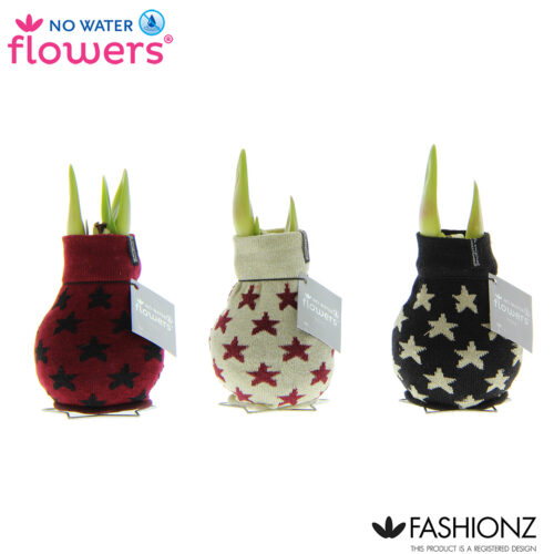 Amarylka ve vosku_WAXZ® - Fashionz Patterns - Obrázek 2