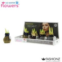 Amarylka ve vosku_WAXZ® - Fashionz Elegant
