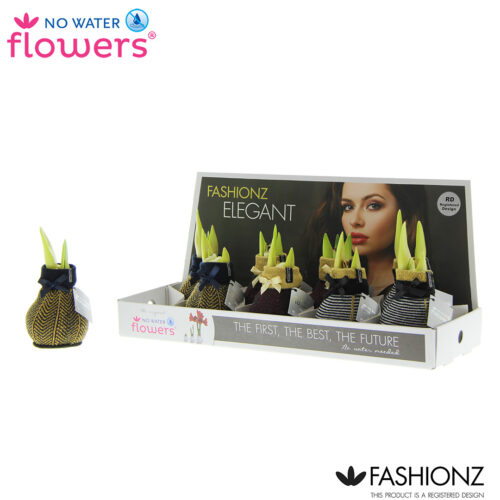 Amarylka ve vosku_WAXZ® - Fashionz Elegant - Obrázek 1