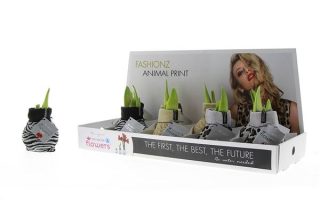 Amarylka ve vosku_WAXZ® - Fashionz Animal Mix