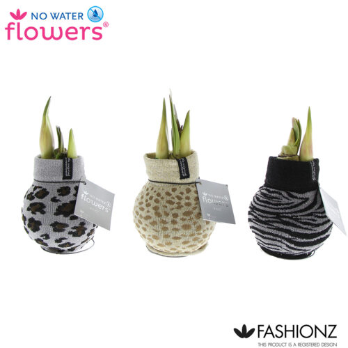 Amarylka ve vosku_WAXZ® - Fashionz Animal Mix - Obrázek 2