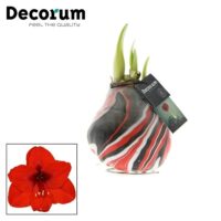 Amarylka ve vosku_WAXZ® - Artooz Earth Red