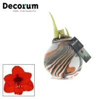 Amarylka ve vosku_WAXZ® - Artooz Earth Cooper