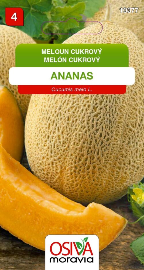 Roubovaný meloun ANANAS - cukrový - Obrázek 2