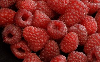 Rubus idaeus 'Zeva II', 40 cm