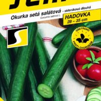 Okurka roubovaná salátovka, TRIBUTE F1–partenokarpická