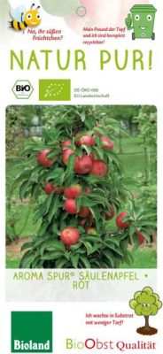 Jabloň sloupovitá 'Aroma Spur'® - Red