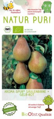 Hrušeň sloupovitá 'Aroma Spur'®-žlutočervená