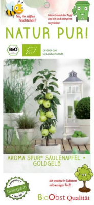 Jabloň sloupovitá 'Aroma Spur'®-Goldgelb