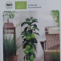 Jabloň sloupovitá 'Aroma Spur'® 'Green Sensation'