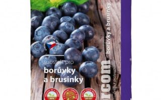 Substrát pro borůvky a brusinky 50 L