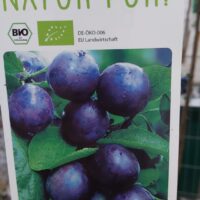 Slivoň sloupovitá 'Aroma Spur'®-pozdní
