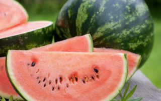 Meloun - sazenice roubovaný, Crimson Sweet K8x8