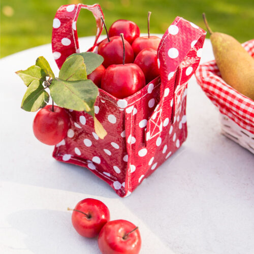 Jabloň ´Appletini´® Mini jabloň - Obrázek 2
