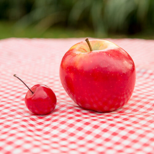 Jabloň ´Appletini´® Mini jabloň - Obrázek 5