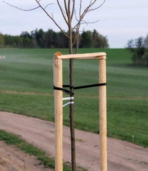 Kůl se špicí 200/5 - Obrázek 2