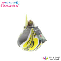 Amarylka ve vosku_WAXZ® - Artooz Fantazy Yellow