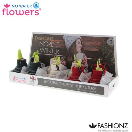 Amarylka ve vosku_WAXZ® - Fashionz Nordic Mix - Obrázek 1