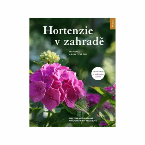 Hortenzie v zahradě - Image 1