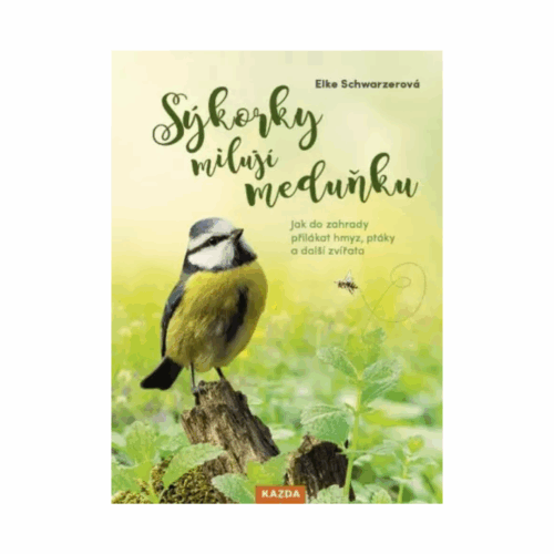 Sýkorky milují meduňku - Obrázek 1