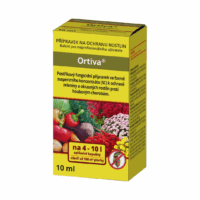 Ortiva