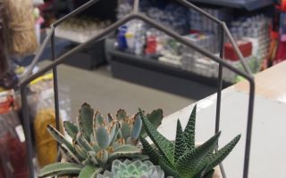 SUCCULENT dekorace_kov_P17