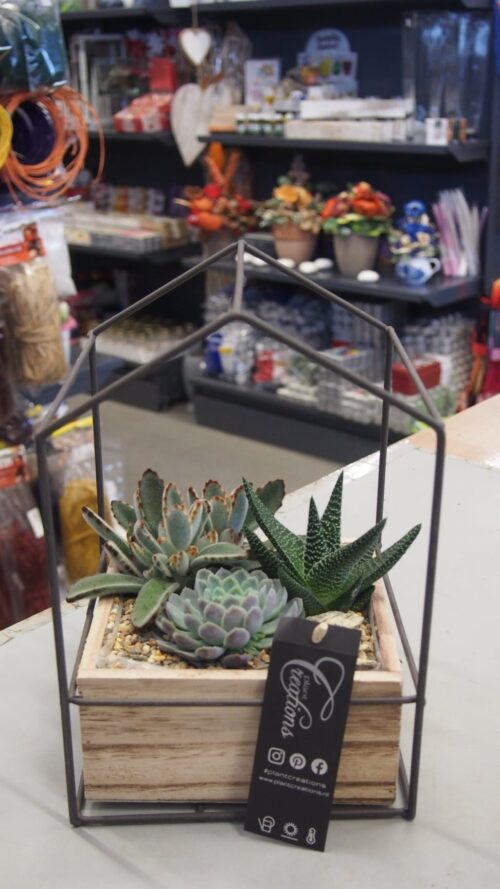 SUCCULENT dekorace_kov_P17 - Obrázek 1