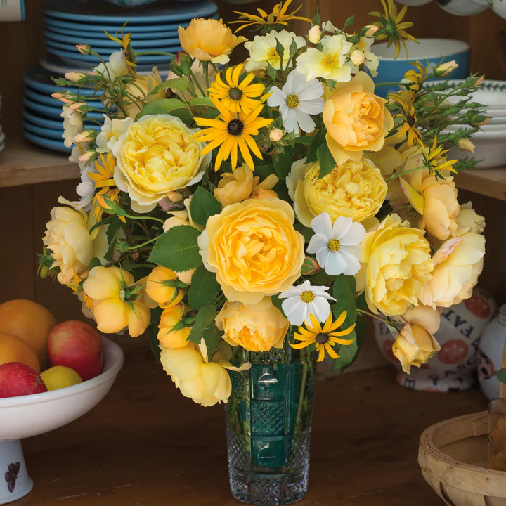 038aea14a050b5e46e2373d83e68a815_720x.jpg ROSA 'David Austin'® 'Charles Darwin' - Obrázek 6