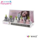 Amarylka ve vosku_WAXZ® - Fashionz Cozy Fluffy