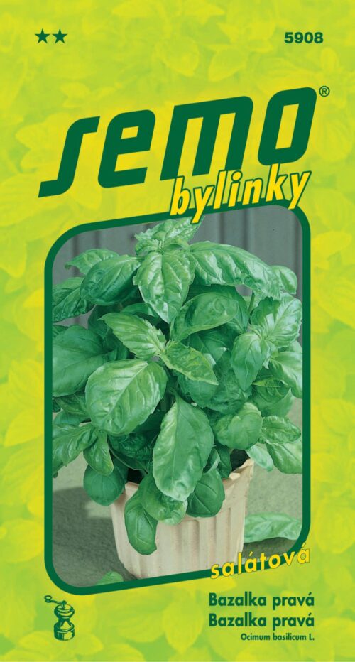 Bazalka pravá - Lettuce Leaf (salátová) 1g - Obrázek 1