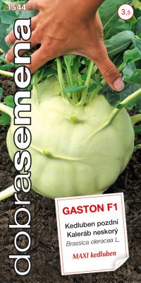 Dobrá semena Kedluben bílý - Gaston F1 pozdní 40s