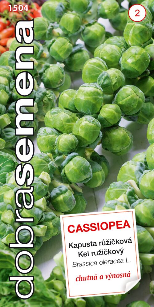 Dobrá semena Kapusta růžičková - Cassiopea 0,7g - Image 1