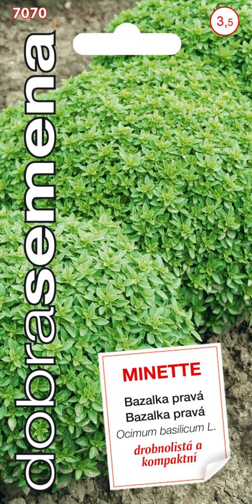 Dobrá semena Bazalka pravá - Minette drobnolistá 0,6g - Obrázek 1