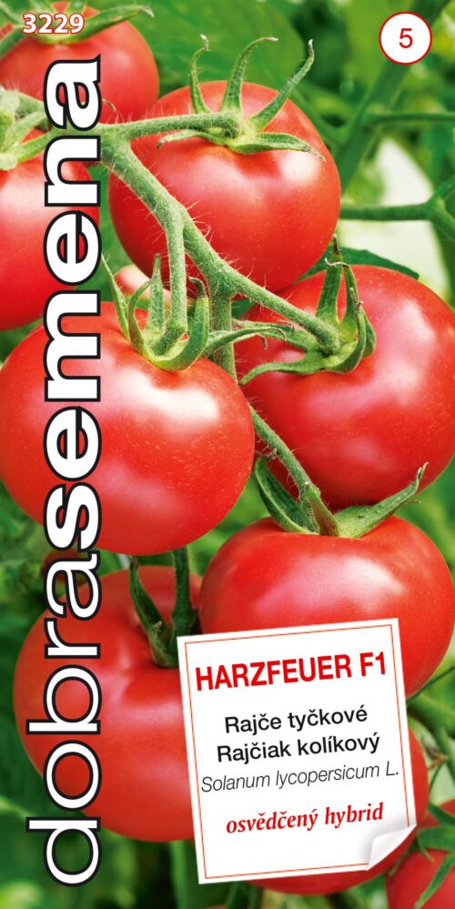 Dobrá semena Rajče tyč. - Harzfeuer F1 10s - Obrázek 1