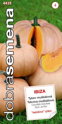 Dobrá semena Tykev muškátová - Ibiza 10s