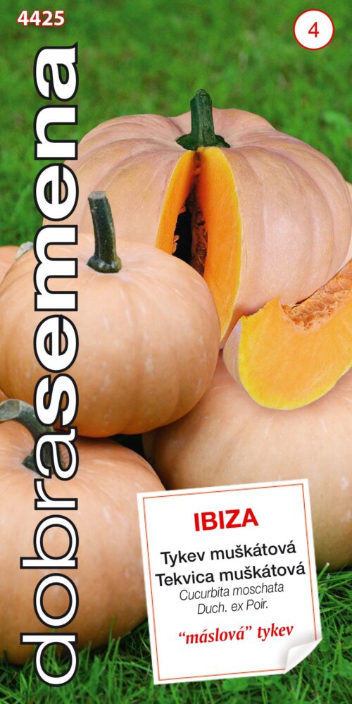 Dobrá semena Tykev muškátová - Ibiza 10s - Obrázek 1