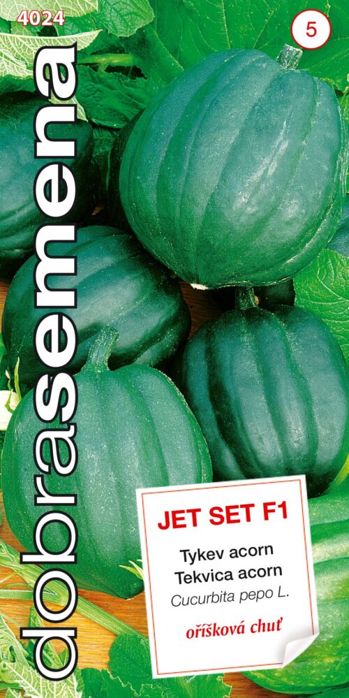 Dobrá semena Tykev acorn - Jet Set F1, tm zelená 9s - Obrázek 1