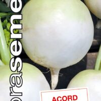 Dobrá semena Ředkev setá - Acord kulatá, typ Daikon 3g