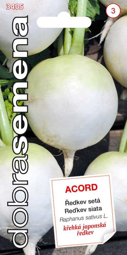 Dobrá semena Ředkev setá - Acord kulatá, typ Daikon 3g - Obrázek 1