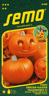 Tykev okrasná - Yellowgirls F1 3g - série K DEKORACI