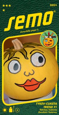 Tykev okrasná - Trend F1 1,5g - série K DEKORACI