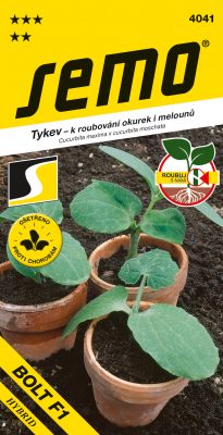 Tykev k roubování okurek - Bolt F1 15s série "Roubuj s námi"