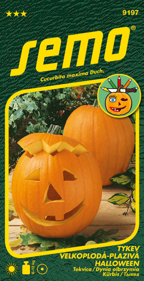 Tykev okrasná - Halloween 2g - série K DEKORACI - Obrázek 1