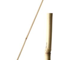 Tyč bambusová 240 cm tl. 22-24 mm