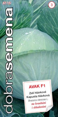 Dobrá semena Zelí kruhárenské - Avak F1 30s