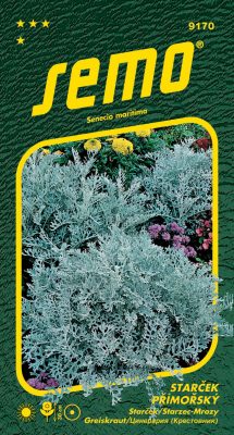 Starček - Silverdust 0,3g