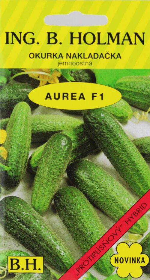 Okurka nakl. Holman - Aurea F1 hu 2,5 g - Obrázek 1