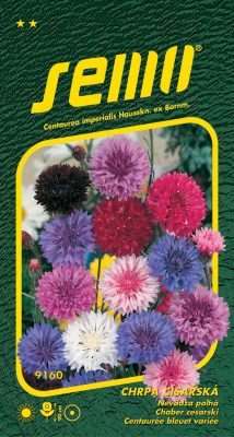 Chrpa císařská - směs 1g