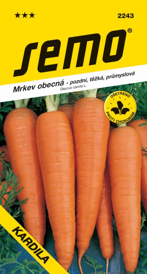 Mrkev - Kardila průmyslová pozdní 3g - Image 1