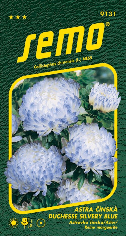 Astra čínská - Duchesse silvery blue 0,5g - Obrázek 1